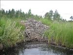 Sweden 2006-07 130